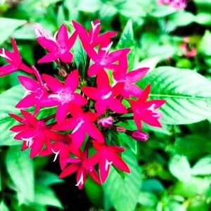 Meet your Posher, Cristina